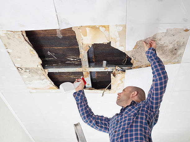 Best Crawl Space Mold Remediation  in Lapwai, ID